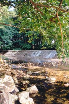 Parc de Sant Salvador, a Santa Coloma de Farners